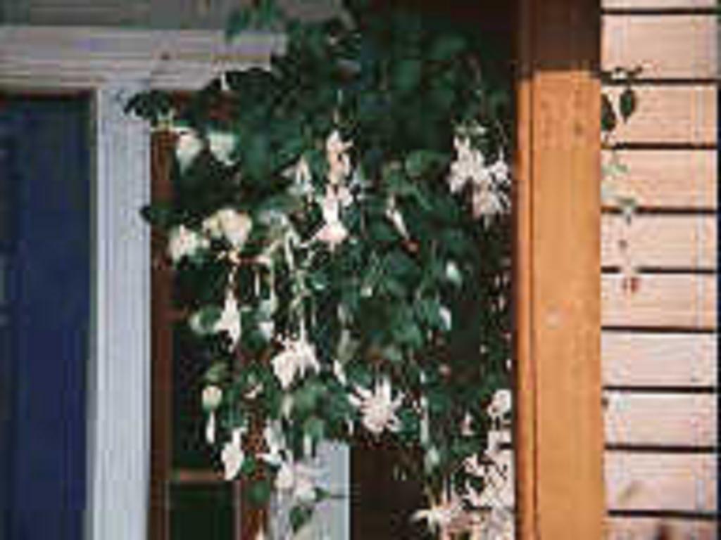 Chesapeake Inn Of Lenox Exterior foto